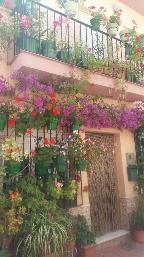 Puerto Deportivo Estepona Esterno foto